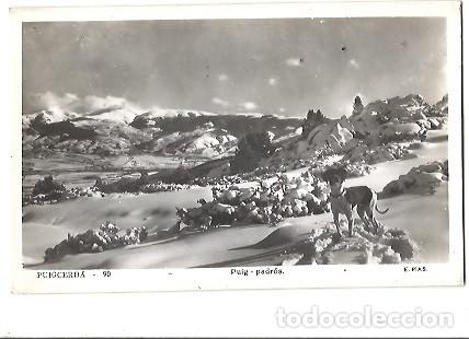 Postkarten: ANTIGUA POSTAL 90 PUIGCERDA PUIG PADROS E PIAS