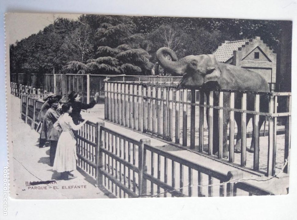 Postales: BARCELONA, PARQUE - EL ELEFANTE. Sin editor. - Foto 1
