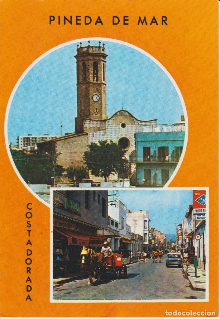 Postales: (237) PINEDA DE MAR. COSTA DORADA - Foto 1