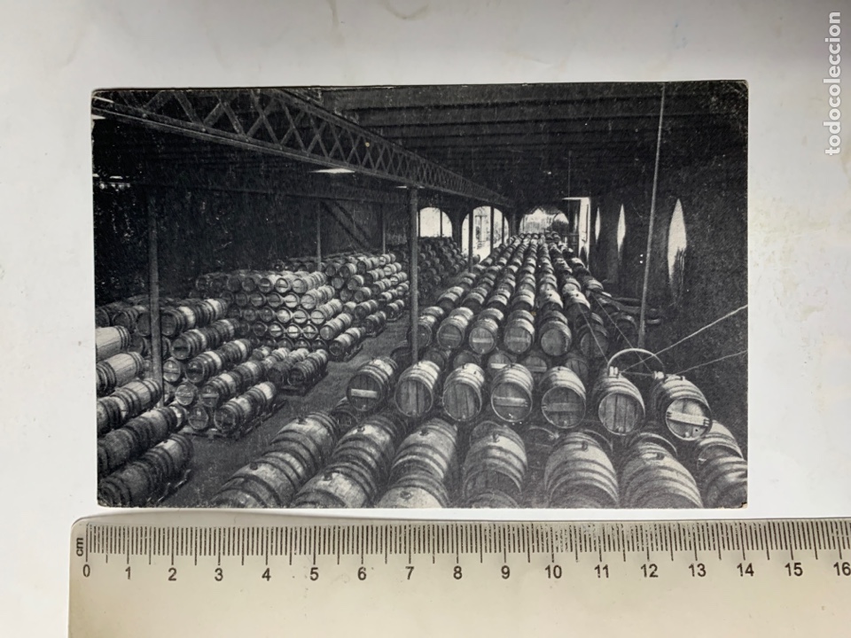 Postales: POSTAL. CODORNIU. SAN SADURNI DE NOYA. UNA BODEGA. A&Ntilde;O 1960.