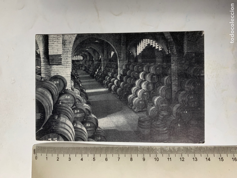 Postales: POSTAL. CASA CODORNIU. SAN SADURNI DE NOYA. UNA BODEGA. A&Ntilde;O 1960.