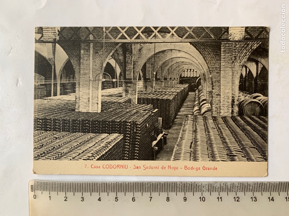 Postales: POSTAL. CASA CODORNIU. SAN SADURNI DE NOYA. BODEGA GRANDE.