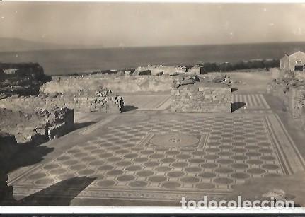 Cartes Postales: ANTIGUA POSTAL N&ordm; 9 AMPURIAS COSTA BRAVA MOSAICO DE UNA VILLA ROMANA C P