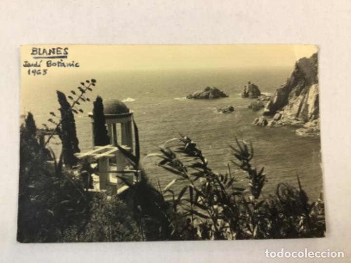 Postales: BLANES. JARD&Iacute; BOTANIC. 1963. - Foto 1