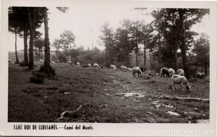 Postales: Sant Boi de Llussan&egrave;s - Cam&iacute; del Munts - No consta fot&oacute;grafo ni editor - 141x88mm.