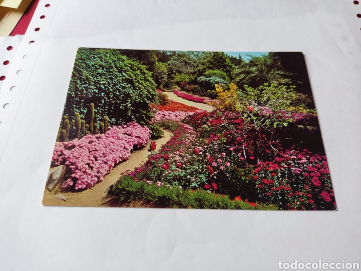 Postales: Postal Blanes jard&iacute;n bot&aacute;nico - Foto 1