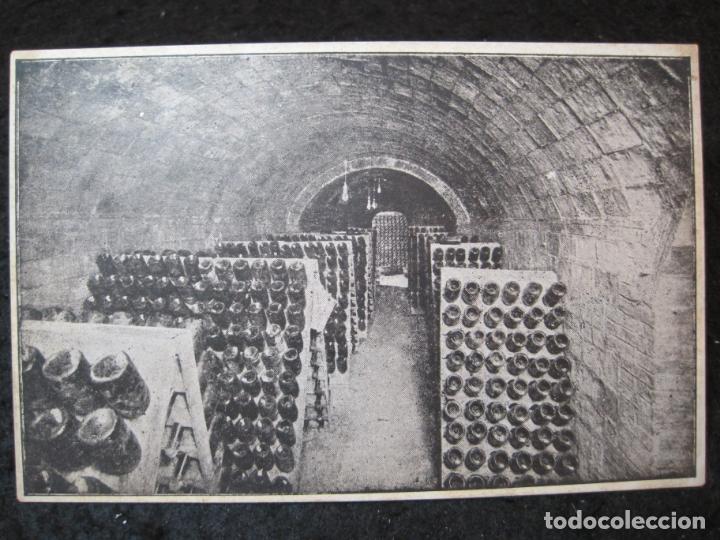 Postales: GUARDIOLA DE FONTRUBI-CAVAS BAQUES-SECCION PUPITRES-POSTAL ANTIGUA-(93.757)
