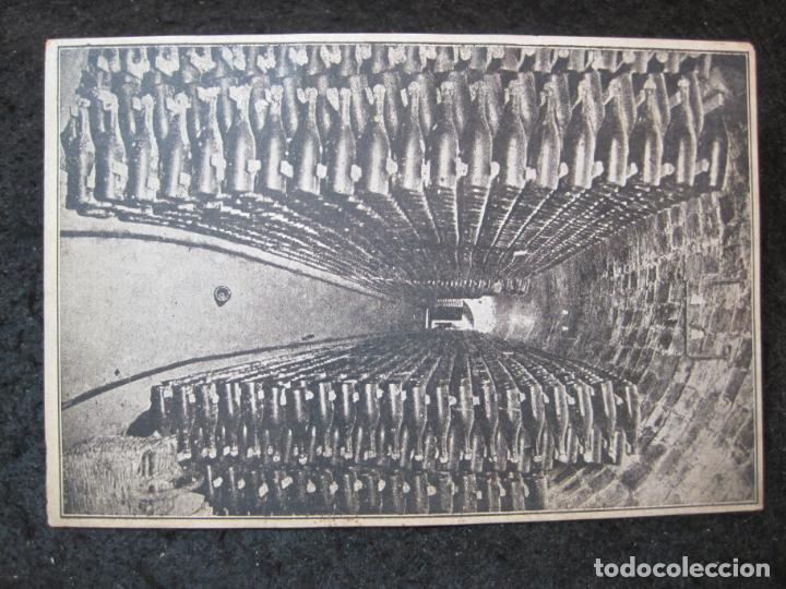 Cartes Postales: GUARDIOLA DE FONTRUBI-CAVAS BAQUES-SECCION PUPITRES-POSTAL ANTIGUA-(93.759)
