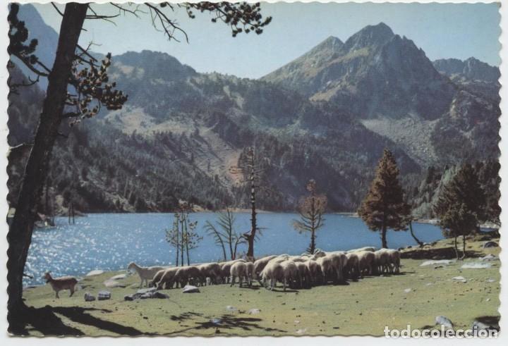 Postales: N&ordm; 23-L&Eacute;RIDA. El Pallars. Valle de Espot. Ganader&iacute;a en San Mauricio. Sin circular. ED. GARC&Iacute;A GARRAB
