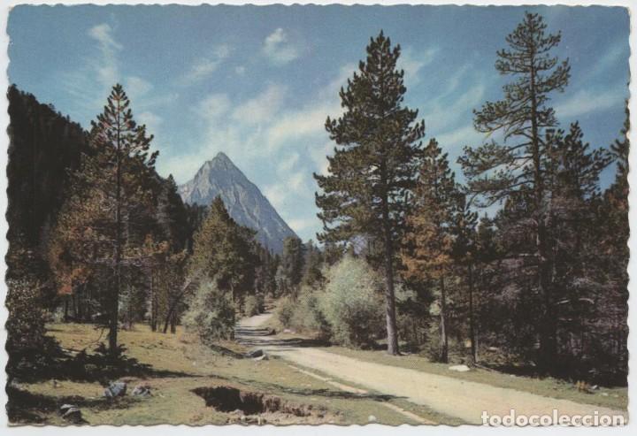 Postales: N&ordm; 5.021-L&Eacute;RIDA. El Pallars. Valle de Espot. Camino de San Mauricio. Sin circular. ED. GARC&Iacute;A GARRAB