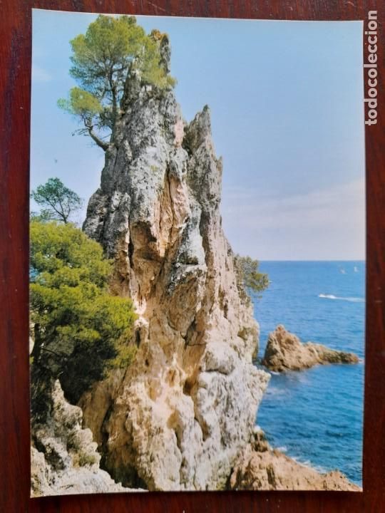 Postales: Postal recondita cala &rdquo;El Golfet, La agila&rdquo; en los acantilados de Calella de Palafrugell n&ordm; 1202