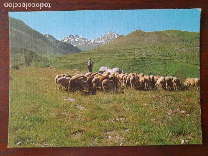 Postales: Postal de la Cap&ccedil;alera del rio Sant Marti, n&ordm; 172 afluente del noguera Tort, en el Valle de Bohi