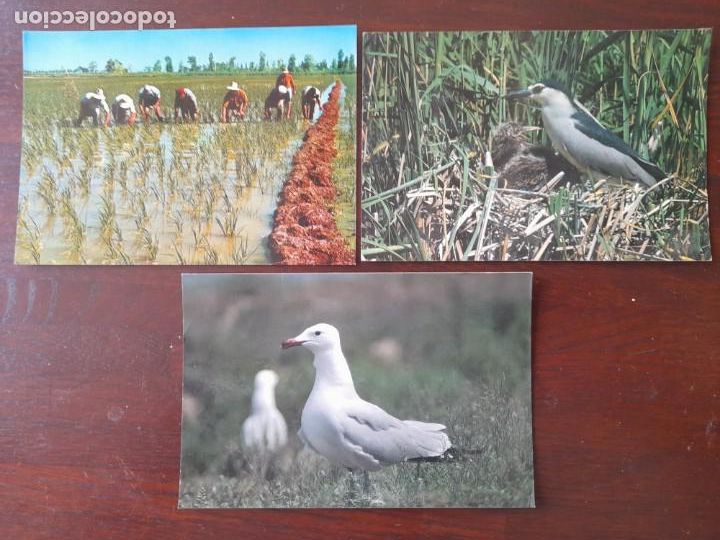 Postais: Una Postal Parque natural Delta del Ebro, El Montsia labores en arrozales, tres postales a elegir