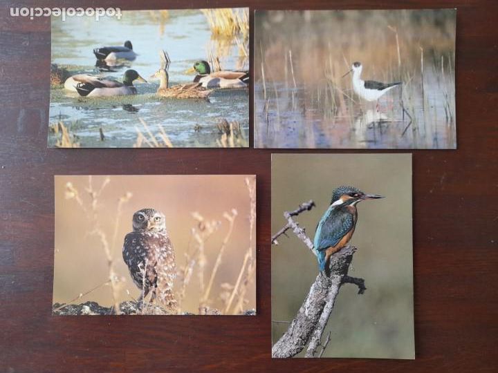 Postais: Una Postal Delta del LLobregat, en El Prat de Llobregat, Divulgacion del parque, 4 postales a elegir