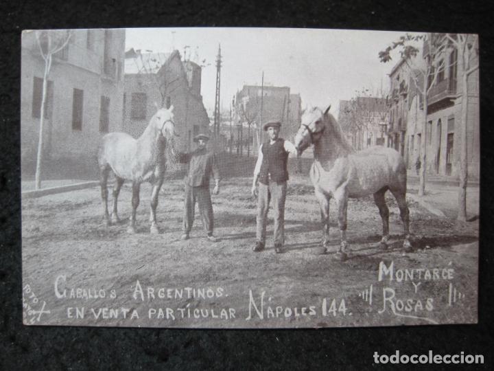 Cartes Postales: BARCELONA-MONTARCE Y ROSAS-CABALLOS ARGENTINOS-PUBLICIDAD-POSTAL ANTIGUA-(94.335)