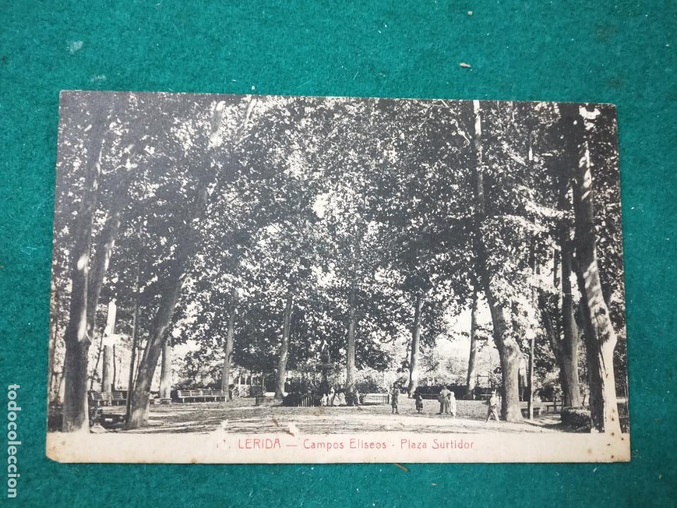 Postales: POSTAL LERIDA. CAMPOS ELISEOS - PLAZA DEL SURTIDOR. SOL I BENET IMPRESOR.