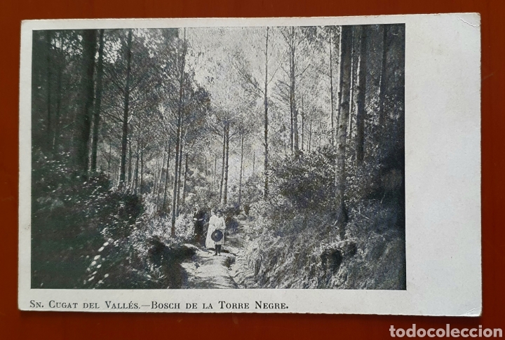 Cartes Postales: POSTAL SANT CUGAT DEL VALL&Eacute;S. BOSCH DE LA TORRE NEGRE