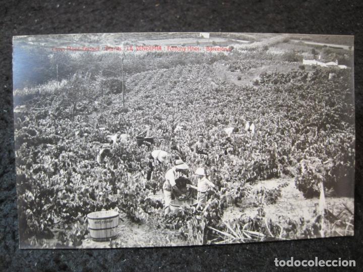 Postales: BLANES-CAVES MONT FERRANT-FORTUNY HNOS-FOTOGRAFICA-POSTAL ANTIGUA-(94.751)