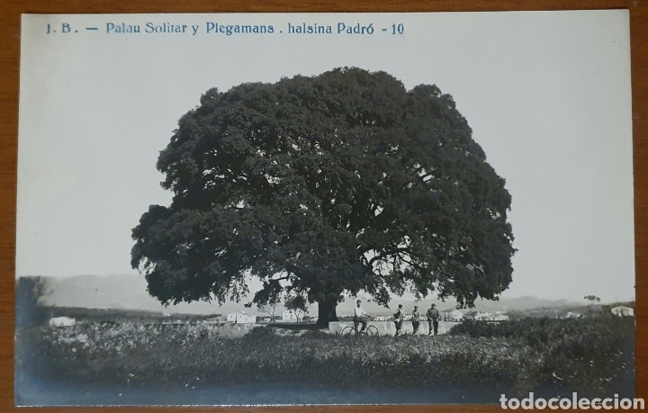 Postais: POSTAL FOTOGR&Aacute;FICA. PALAU SOLITAR Y PLEGAMANS. ALSINA PADR&Oacute; 10. J. B. JOSEP BOIXADERA