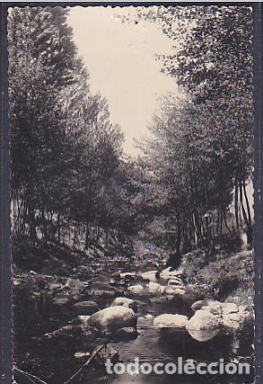 Postales: POSTAL AYGUAFREDA RIERA D'ABANCO DESDE LA FONT DEL GRILL