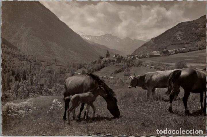 Postales: Valle de Ar&aacute;n - Gesa - Ganader&iacute;a Aranesa - Ed. Of. Tur. Pobla Segur n&ordm; 406 - 150x105mm. aprox.