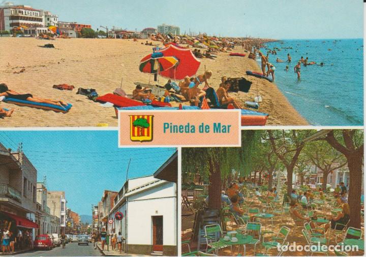 Postales: (50311) PINEDA DE MAR - Foto 1