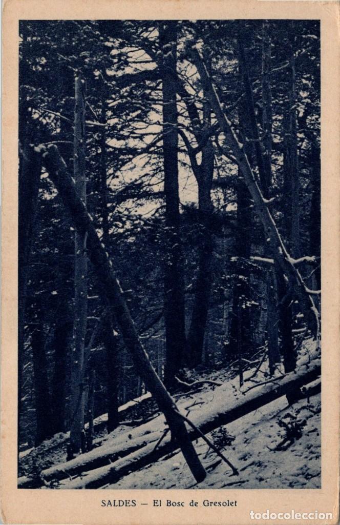 Postales: Saldes - El Bosc de Gresolet - Ed. H. Mumbr&uacute; - 140x90mm. - Foto 1