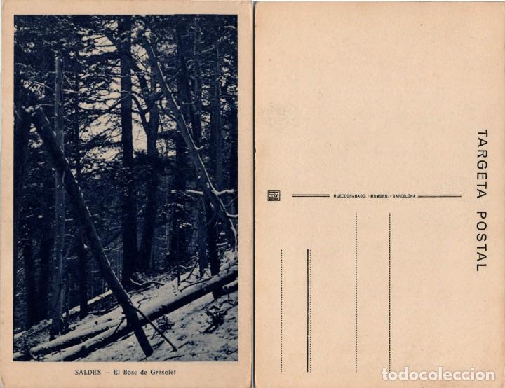 Postales: Saldes - El Bosc de Gresolet - Ed. H. Mumbr&uacute; - 140x90mm. - Foto 3