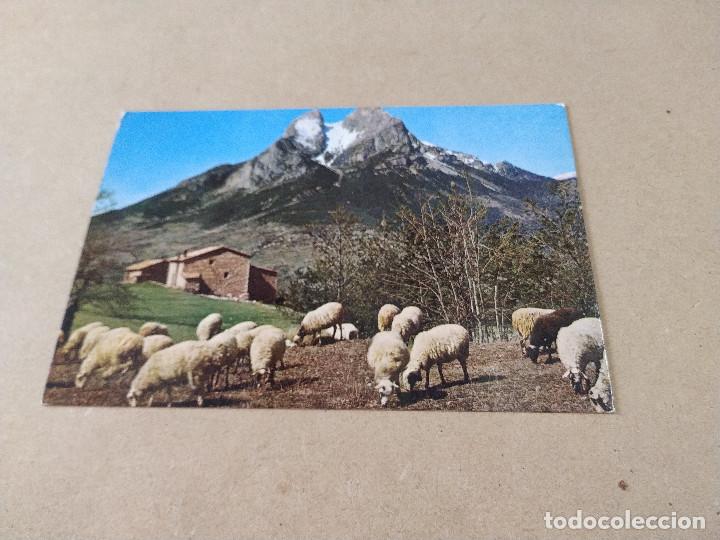 Postales: BERGUED&Agrave; - POSTAL PEDRAFORCA - SALDES - Foto 1