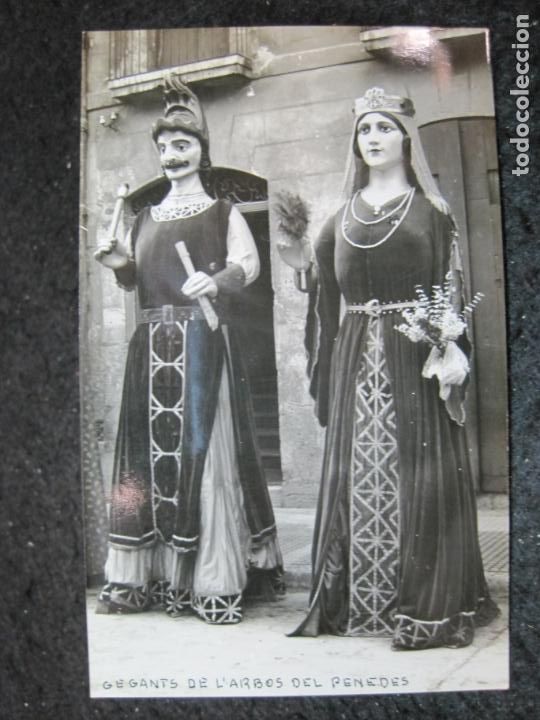 Postales: ARBOR&Ccedil;-GEGANTS-GIGANTES DEL ARBOS DEL PENEDES-FOTO CUYAS-POSTAL ANTIGUA-(95.329)