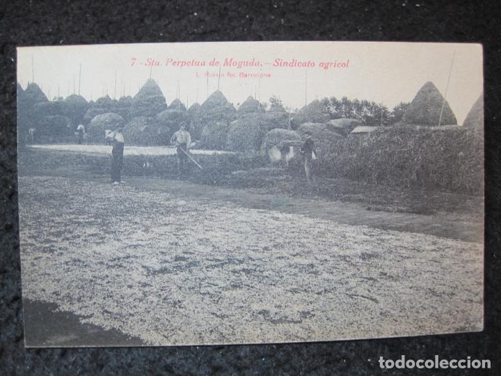 Postkarten: SANTA PERPETUA DE MOGUDA-SINDICATO AGRICOL-7-ROISIN-POSTAL ANTIGUA-(95.395)