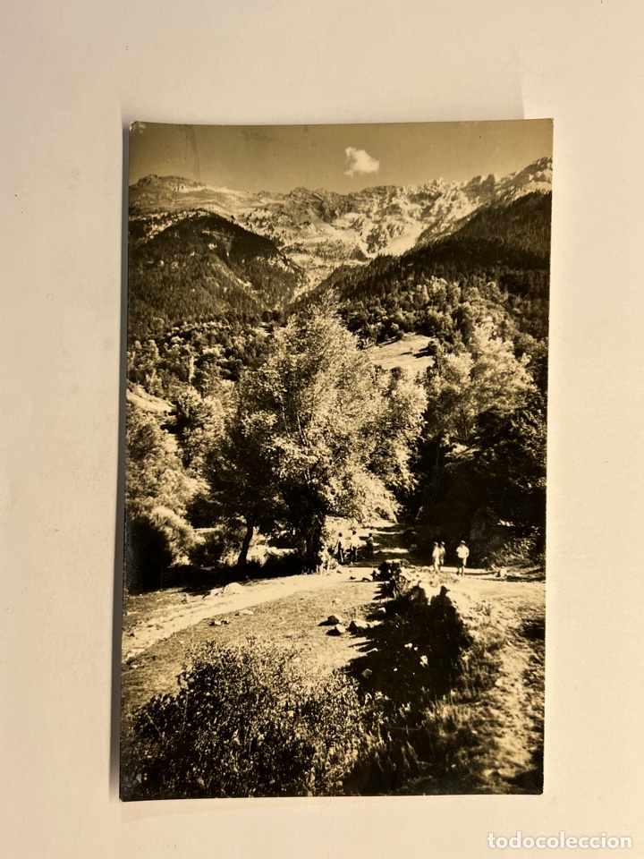 Postales: BASTANIST (Lerida) Postal No.49, La Sierra del Cadi al fondo. Ediciones CYP (h.1950?) S/C