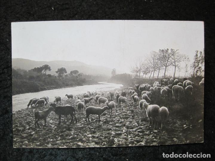 Postales: LLINAS DEL VALLES-RIO MOGENT-FOTOGRAFICA-POSTAL ANTIGUA-(95.513)