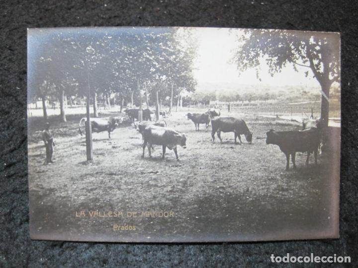 Postcards: LA VALLESA DE MANDOR-PRADOS-FOTOGRAFICA-POSTAL ANTIGUA-(95.523)