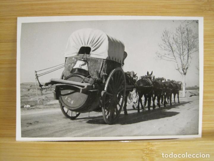 Postales: VILORI-FOTOGRAFICA ARCHIVO CUYAS-POSTAL ANTIGUA-(95.859)