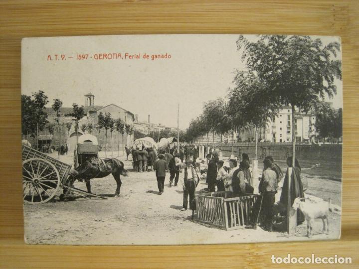 Postcards: GIRONA-FERIA DEL GANADO-ATV 1597 A.T.V.-POSTAL ANTIGUA-(96.147)
