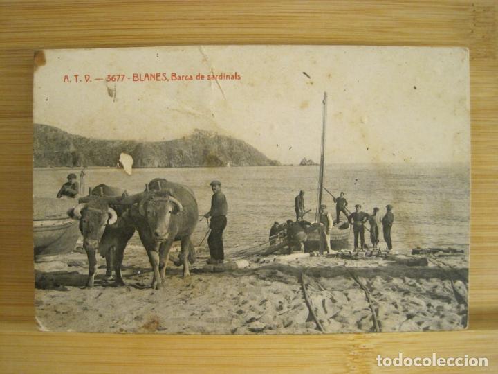 Postales: BLANES-BARCA DE SARDINALS-ATV 3677 A.T.V.-POSTAL ANTIGUA-(96.150)