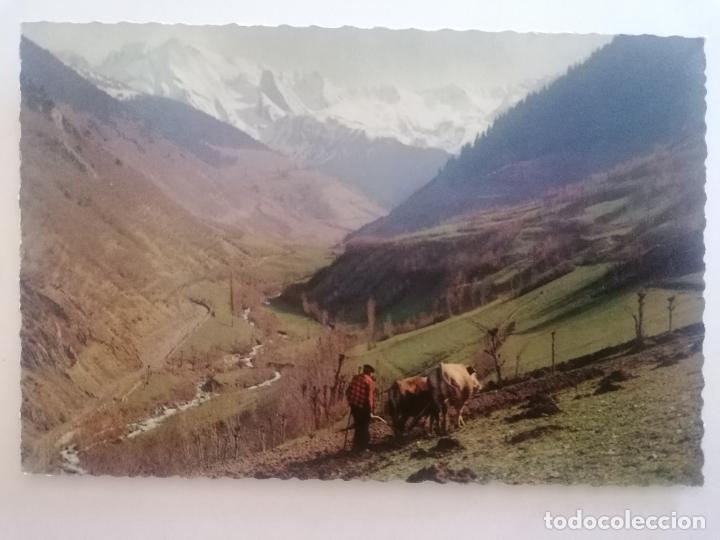 Postales: POSTAL PIRINEOS DE LERIDA, VALLE DE ARAN, RIBERA DEL RIO NEGRO