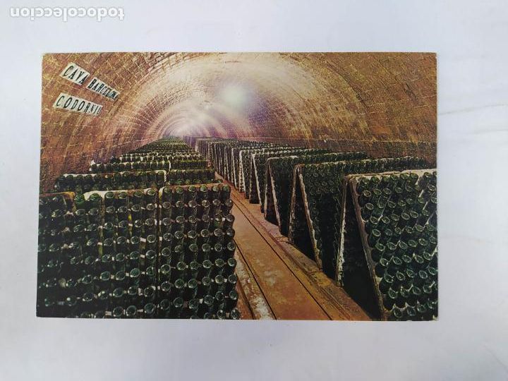 Postales: POSTAL CAVAS CODORNIU. SAN SADURNI DE NOYA. TDKP20S