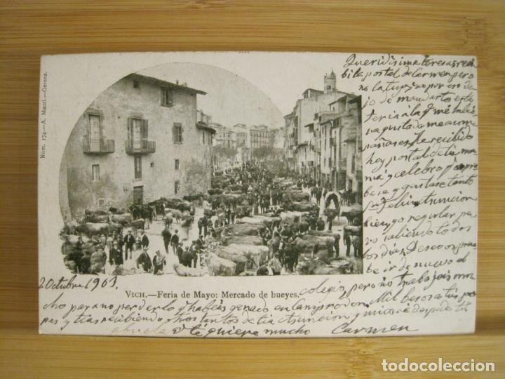 Postcards: VIC-VICH-FERIA DE MAYO-MERCADO DE BUEYES-174 A.MAURI-REVERSO SIN DIVIDIR-POSTAL ANTIGUA-(97.155)