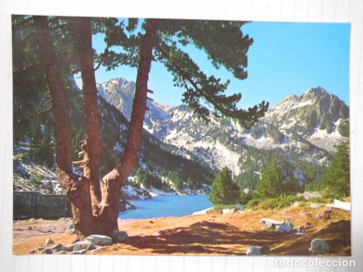 Postales: Lago San mauricio. Ed. Kolorham L . 3883. Circulada 1991