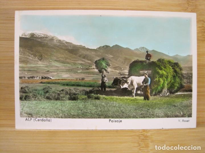 Postais: ALP-PAISAJE-V.ROSET-FOTOGRAFICA-POSTAL ANTIGUA-(98.046)