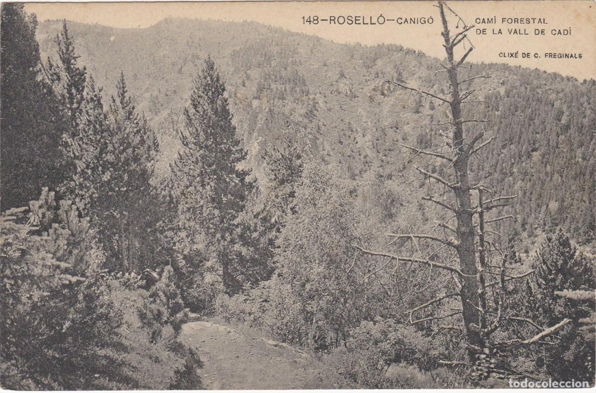 Postkarten: Rosell&oacute; 148 - Canig&oacute;, Cam&iacute; Forestal Vall del Cad&iacute; - Associaci&oacute; Protectora de la Ensenyansa Catalana