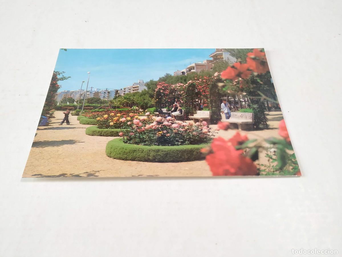 Postales: SELVA - POSTAL BLANES - JARDINES - PASEO MAR&Iacute;TIMO - Foto 1