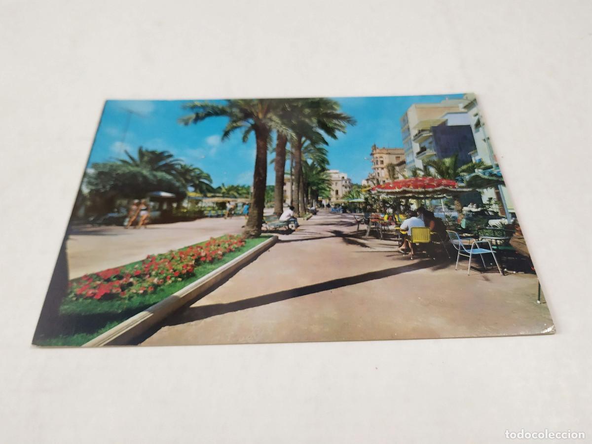 Postales: SELVA - POSTAL LLORET DE MAR - PASEO - Foto 1