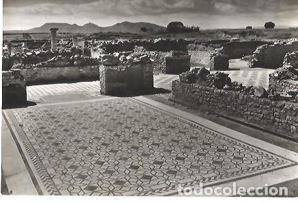Postais: ANTIGUA POSTAL SERIE I NUM 2274 COSTA BRAVA AMPURIAS MOSAICO ROMANO A CAMPA&Ntilde;A PUIG