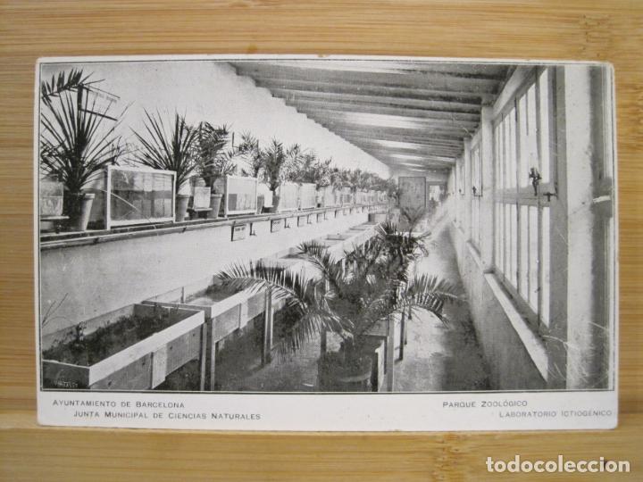 Cartoline: BARCELONA-JUNTA MUNICIPAL CIENCIAS NATURALES-LABORATORIO ICTIOGENICO-POSTAL ANTIGUA-(98.435)