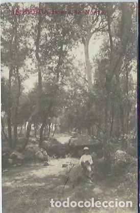 Postales: BREDA (GERONA) - BOSQUE DEL NORTE - Foto 1