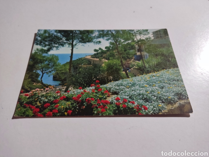 Postales: Postal Salou pinos mar - Foto 1
