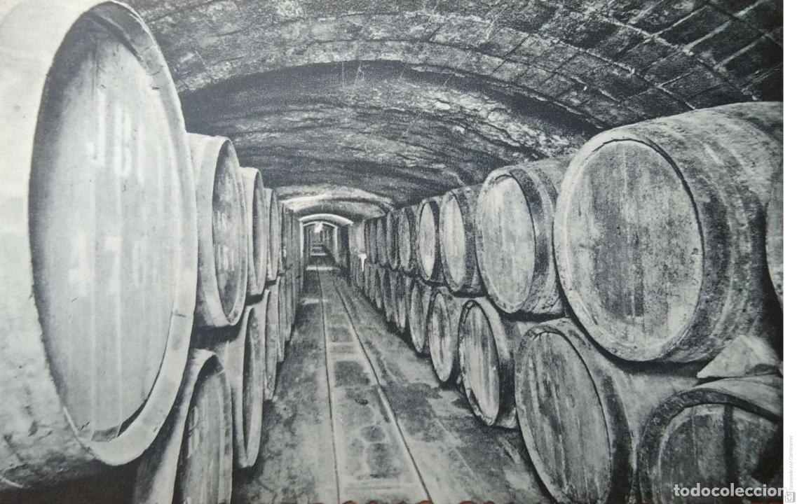 Postales: Casa Codorniu. San Sadurni de Noya. 6 Vinos en crianza. Nueva. Blanco/Negro.
